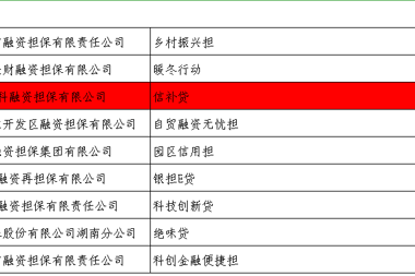 财科担保“信补贷”产品获2022年湖南省融资创新考评奖励